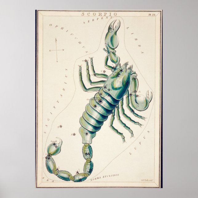 Vintage Constellation Illustration Poster (Framsidan)