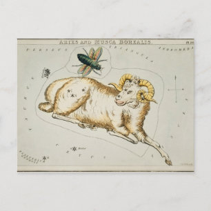 Vintage Constellation Illustration Vykort