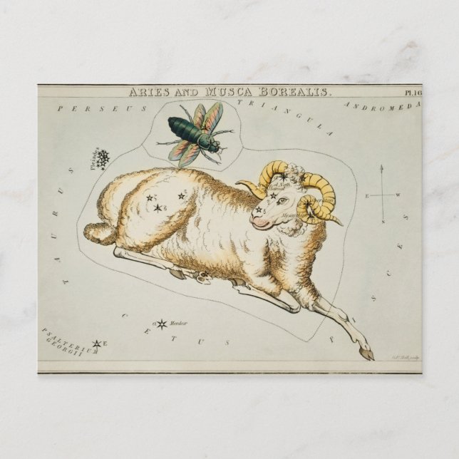 Vintage Constellation Illustration Vykort (Framsida)