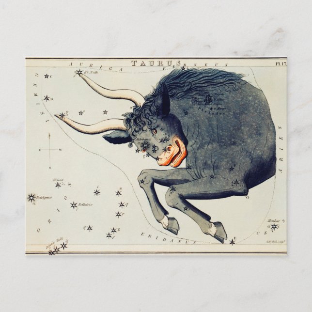 Vintage Constellation Illustration Vykort (Framsida)