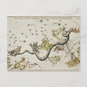 Vintage Constellation Illustration Vykort