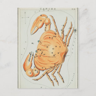 Vintage Constellation Illustration Vykort