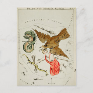 Vintage Constellation Illustration Vykort