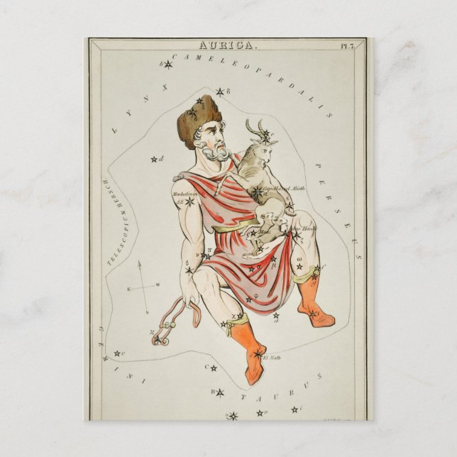 Vintage Constellation Illustration Vykort (Framsida)