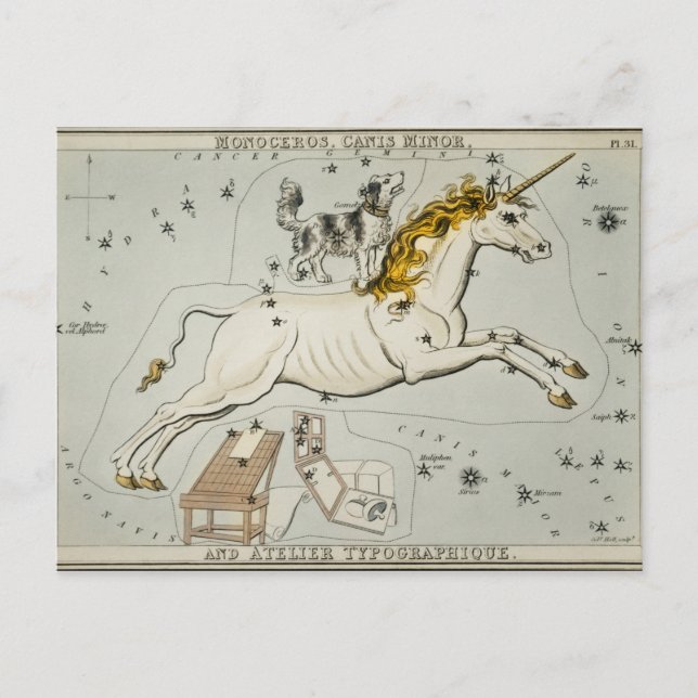 Vintage Constellation Illustration Vykort (Framsida)