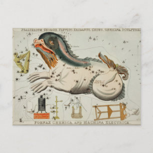 Vintage Constellation Illustration Vykort