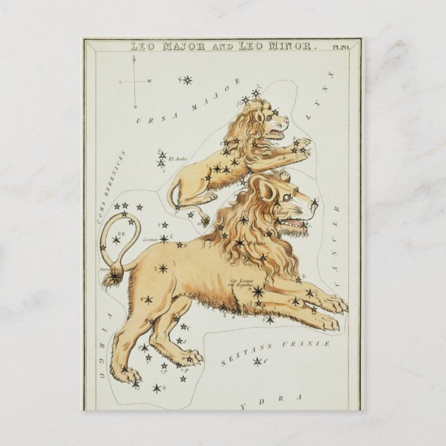 Vintage Constellation Illustration Vykort (Framsida)