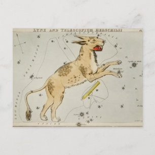 Vintage Constellation Illustration Vykort