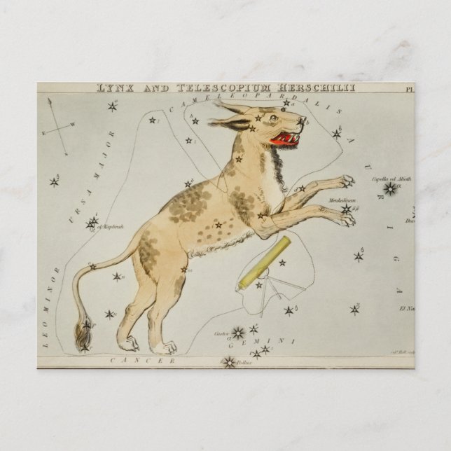 Vintage Constellation Illustration Vykort (Framsida)