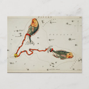 Vintage Constellation Illustration Vykort