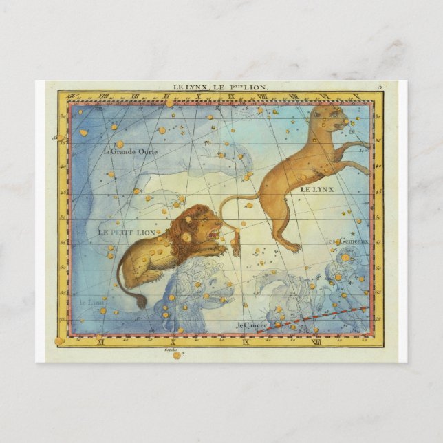 Vintage Constellation Leo Vykort (Framsida)