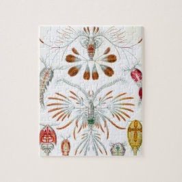 Vintage Copepoda Ocean Animals av Ernst Haeckel Pussel
