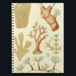 Vintage Coral Animals, Science Textbook Biology Anteckningsbok Med Spiral<br><div class="desc">Vintage illustration av marin djurdesign med en mängd koraller under havet. Illustrationer av Jean Gabriel Pretre från Dictionnaire D'Histoire Naturelle av Charles Orbigny. 1849 I gruppen ingår de viktiga revbyggare som bebor tropiska oceaner och separerar kalciumkarbonat för att bilda ett hårt skelett. Korallets form och storlek beror till största delen...</div>