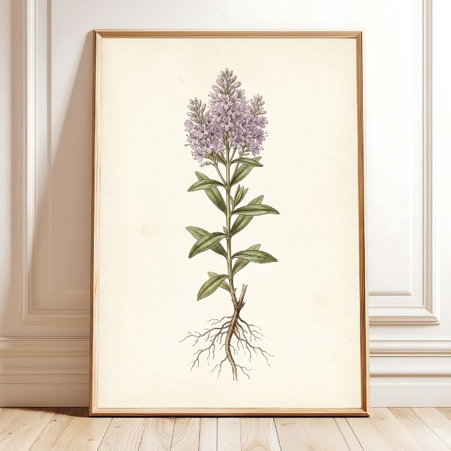 Vintage Cottage Botanisk Canvastryck Poster (Skapare uppladdad)
