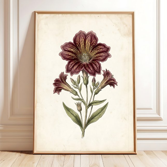 Vintage Cottage Botanisk Konsttryck Poster (Skapare uppladdad)