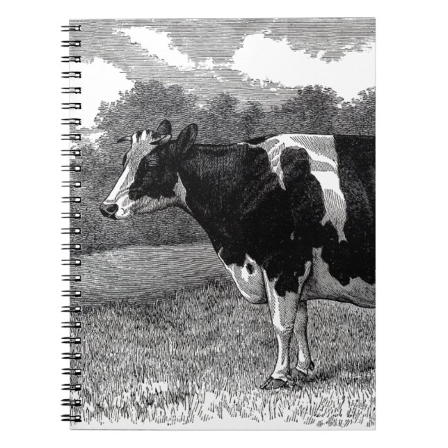 Vintage Cow Anteckningsbok (Framsidan)