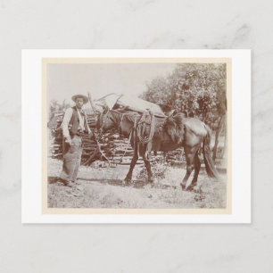 Vintage Cowboy 1900 Vykort