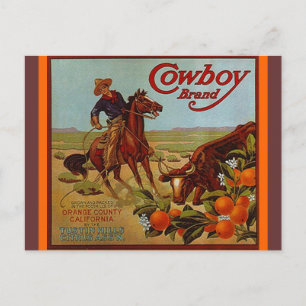 Vintage Cowboy Brand Fruit Ster cattle Postcard Vykort