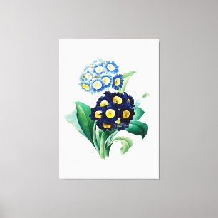 Vintage Cowgla Primrose botaniskt Canvastryck