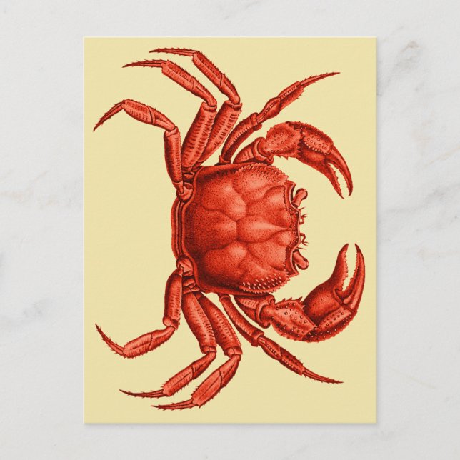 Vintage Crab-design Vykort (Framsida)