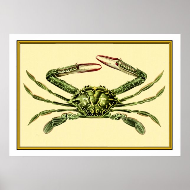 Vintage Crab Poster (Framsidan)