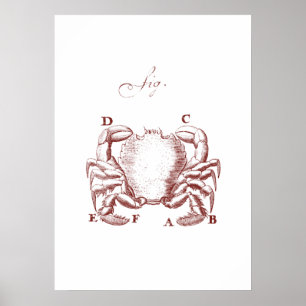 Vintage-crawlning-konfigurering Poster