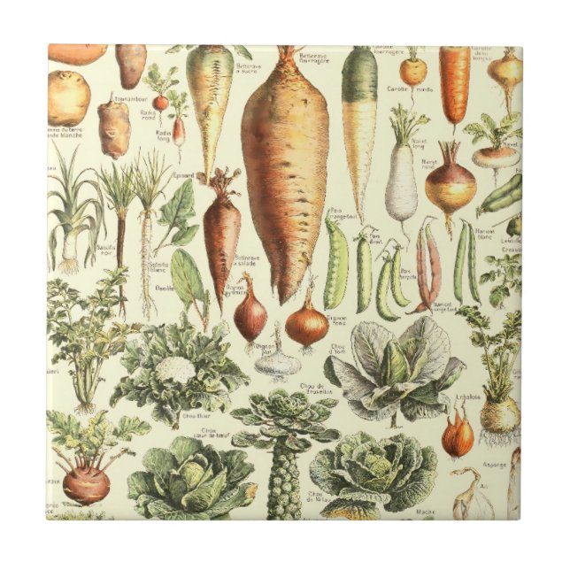 Vintage Cream Vegetables Mönster Kakelplatta (Framsidan)