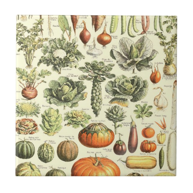 Vintage Cream Vegetables Mönster Kakelplatta (Framsidan)