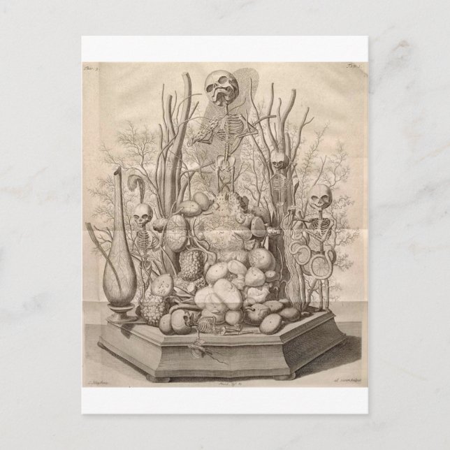 Vintage Creepy Skeletons, Döskallar och Träd Vykort (Framsida)