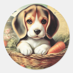Vintage Cute Beagle Puppy Runt Klistermärke