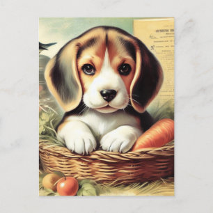 Vintage Cute Beagle Puppy Vykort