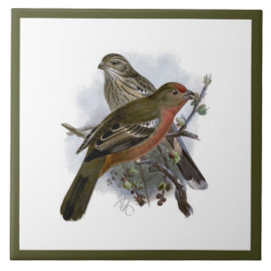 Vintage Cute Blue Colorful Bird and Foliage Kakelplatta