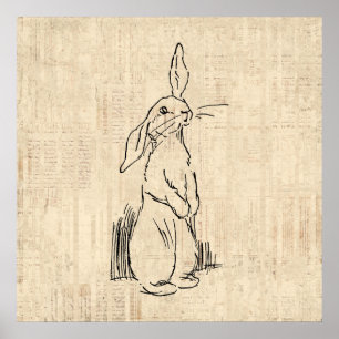 Vintage Cute Bunny Rabbit Art-bakgrund Poster
