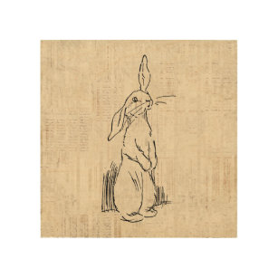 Vintage Cute Bunny Rabbit Art-bakgrund Trätavla