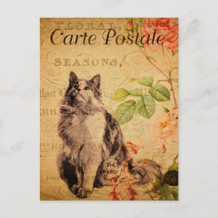 Vintage Cute Cat Blommigt Flowers Fransk Vykort