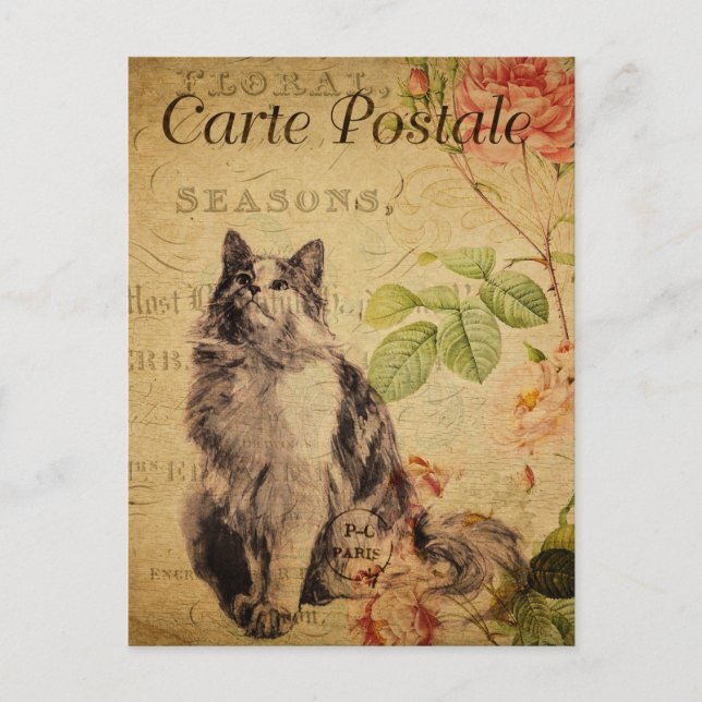 Vintage Cute Cat Blommigt Flowers Fransk Vykort (Framsida)