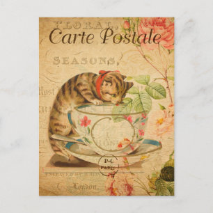Vintage Cute Cat Drinking of Tea Kopp and Saucer Vykort
