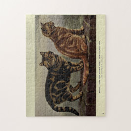 Vintage Cute Cats Brown Orange Tabby Kort Hair Pussel