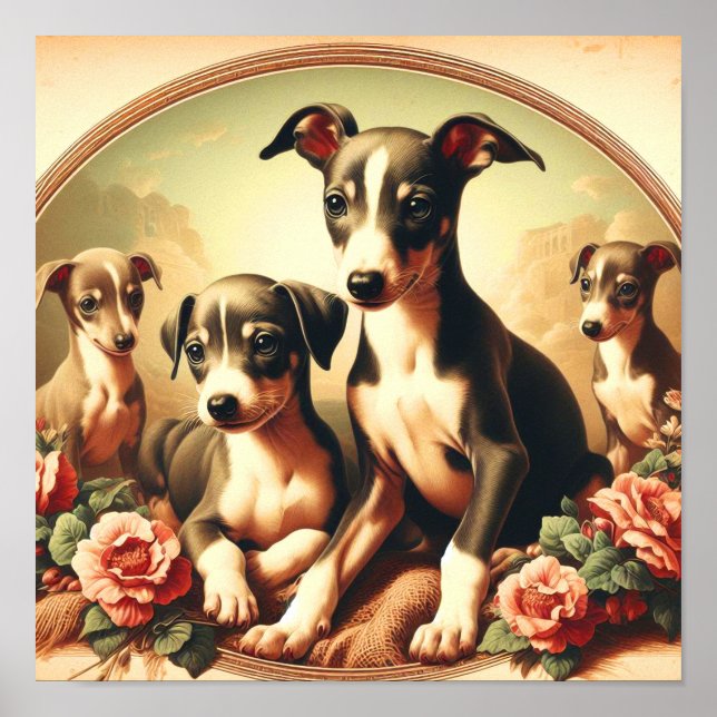 Vintage Cute Italy Greyhound Painting Poster (Framsidan)