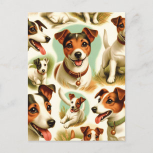 Vintage Cute Jack Russell Terrier Vykort