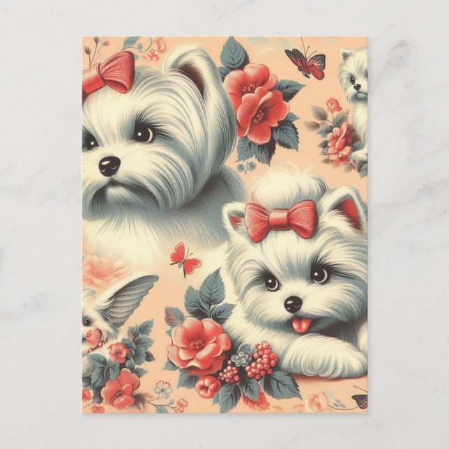 Vintage Cute Maltese Hund Vykort (Framsida)
