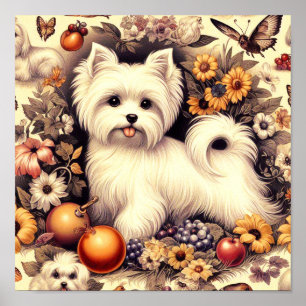 Vintage Cute Maltese Poster
