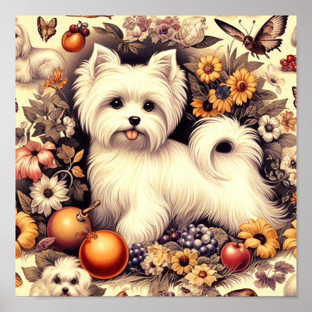 Vintage Cute Maltese Poster (Framsidan)