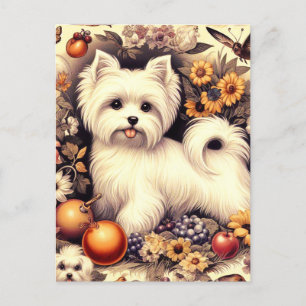 Vintage Cute Maltese Vykort