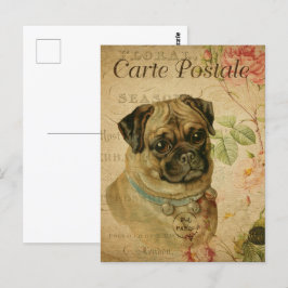 Vintage Cute Pug Hund Vykort