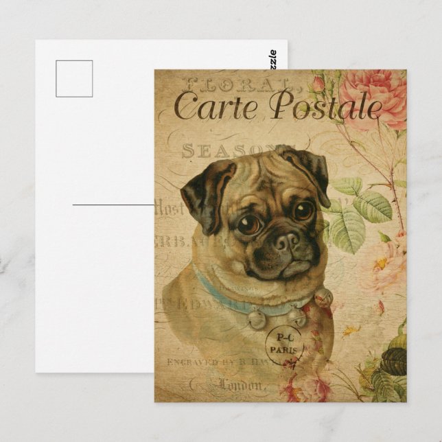 Vintage Cute Pug Hund Vykort (Fram/baksida)