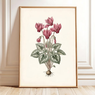 Vintage Cyclamen Boho Botanisk Canvastryck Poster
