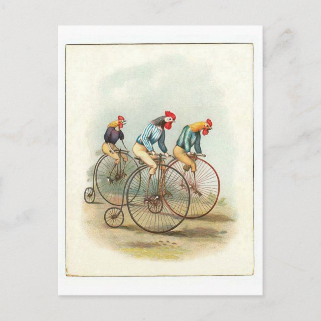 Vintage Cycle Poster, Pennyfarthing Tuppar Vykort (Framsida)