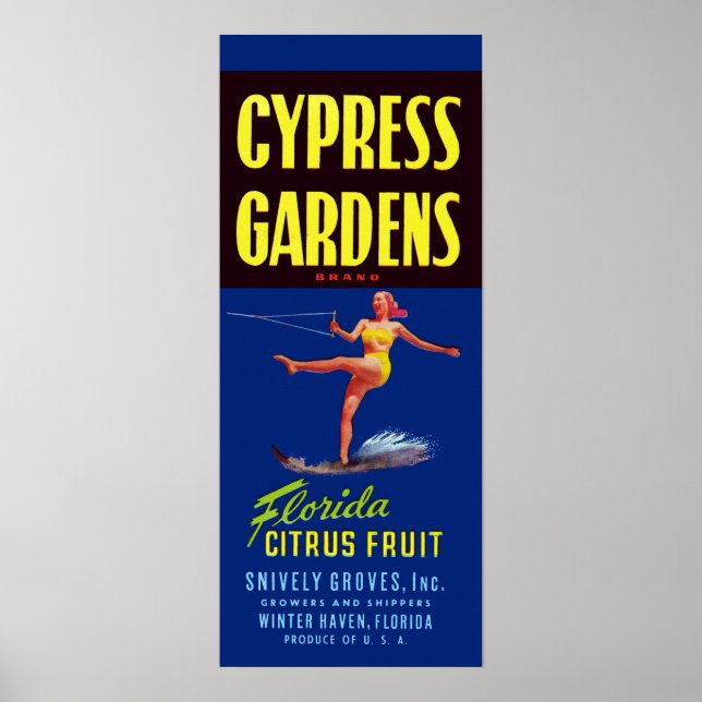 Vintage Cypress Gardens Florida Citrus Fruit Poster (Framsidan)