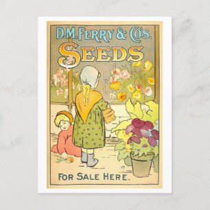 Vintage D. M. Ferry & Co. Seeds Advertisement Vykort